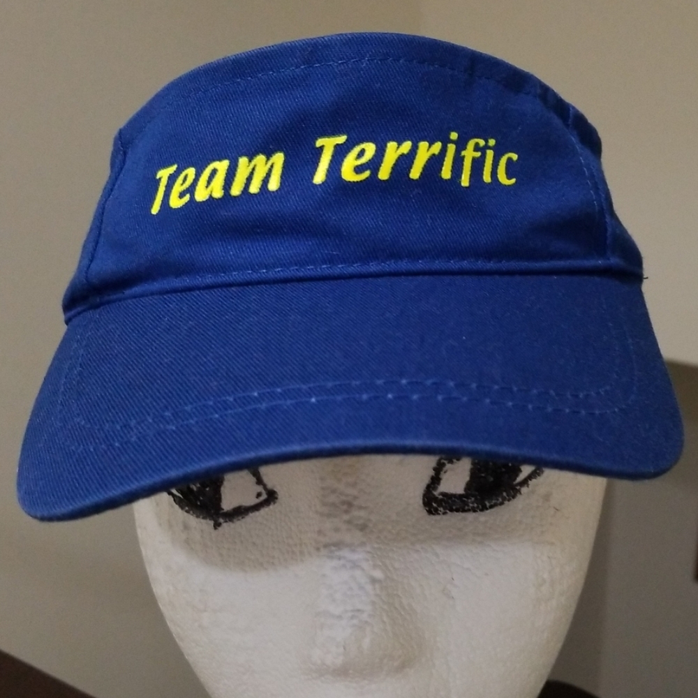 Blue Sun Visor - Picture 6 of 7